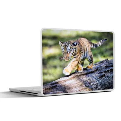 Produktbild von MuchoWow® Laptop Aufkleber Sticker Cover Tiger - Junge - Baum 31x22.5 cm - Laptop-Deko