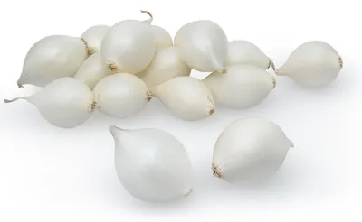 Produktbild von Wintersteckzwiebel Snowball (250 g) | Steckzwiebeln von Quedlinburger
