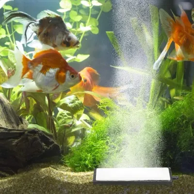 Produktbild von Nano Luftstein - Bar Fischtank Belüftung - Refiner Sauerstoffpumpe - Blasen Diffusor(S)