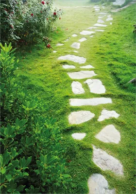 Produktbild von Wallario Poster - Steinweg im Grünen, Kunstdruck Größe: 70 x 100 cm