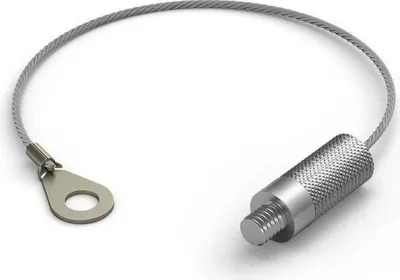 Zdjęcie produktu dla Philips Hue Secure - Kabel zabezpieczający