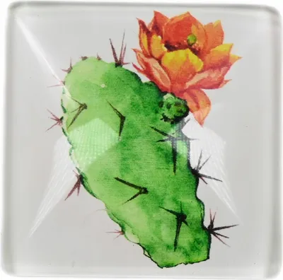 Produktbild von Glasmagnet Kaktus Kühlschrankmagnet Deko Magnettafel Büro Küche 4,5cm - Verschiedene Designs