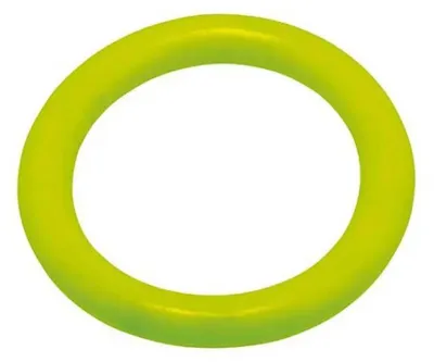 Zdjęcie produktu dla Pierścień do nurkowania Fashy 4204, zielony, średnica 14 cm, zielony, średnica 14 cm