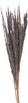 Produktbild von Clayre & Eef Trockenblumen 100 cm Grau Trockenblumen