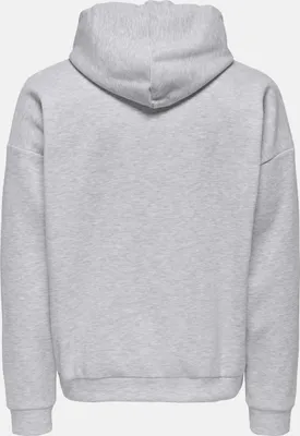 Zdjęcie produktu dla Bluza z kapturem CHASE marki Only & Sons