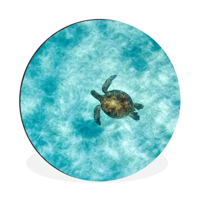 Produktbild von MuchoWow® Aluminium Wandkreis Schildkröte im Meer Ø 90 cm Wanddeko Modern Wohnzimmer - Mauerkreis - Wandbilder - Runde Bild - Bild aus Aluminium - Schlafzimmer - Wohnzimmerdekoration - Wand Dekoration