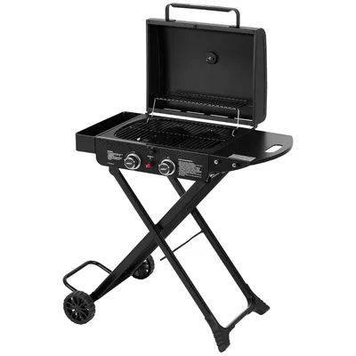 Produktbild von Royal Gourmet Gasgrill 2 Brenner, 5 kW Gesamtleistung, Camppinggrill mit klappbarem Ständer, Faltbarer Rollwagen für Camping, Garten und Terrasse