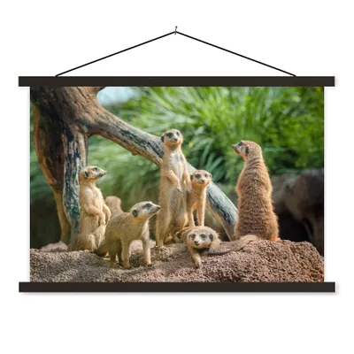 Produktbild von MuchoWow® Textilposter Erdmännchen - Familie - Tiere 120x80 cm mit schwarzem Rahmen - Wanddeko
