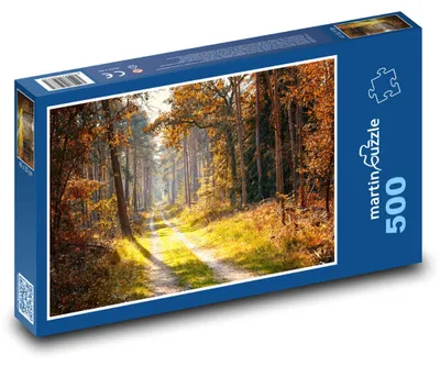 Produktbild von martinpuzzle - Puzzle 500 Teile - Herbst - Forststraße