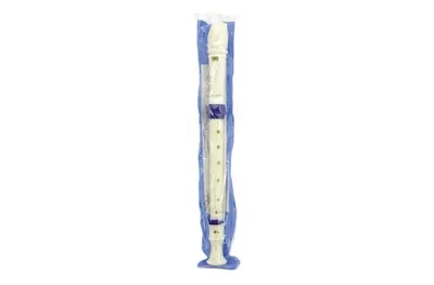 Obrázek produktu pro Flétna plast 33cm s čistítkem v plastovém obalu