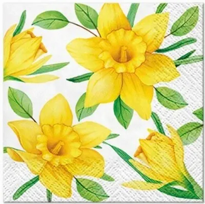 Produktbild von 20 kleine Cocktailservietten Daffodils in Bloom - Gelbe Narzissenblüten 25x25m