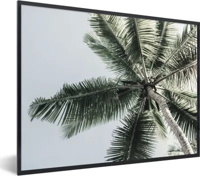 Produktbild von MuchoWow® Gerahmtes Poster Palme - Tropisch - Sommer 80x60 cm - Poster mit Schwarzem Bilderrahmen Wandposter Rahmen Foto Bilder - Schwarzem - Mit Gestell