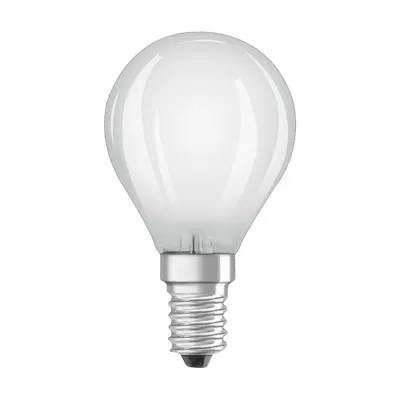 A single frosted light bulb with a silver screw base is shown against a white background.