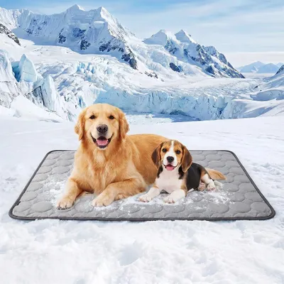 Kühlmatte für Hunde, 70 x 55 cm, selbstkühlend, rutschfest