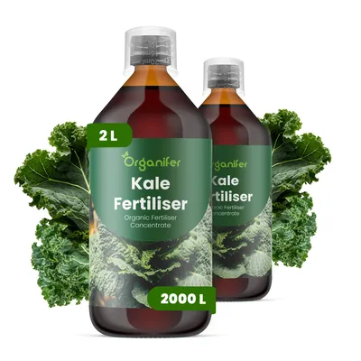 Produktbild von Kale Flüssigdünger 2x1L – 2-1-8 NPK – Flüssig-Pflanzendünger für kontinuierliches Blattwachstum – Organifer