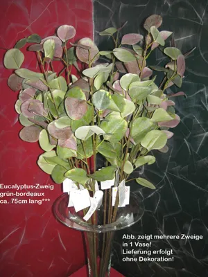 Produktbild von 1 Deko-Zweig Eucalyptus grün-bordeaux, ca. 75 cm
