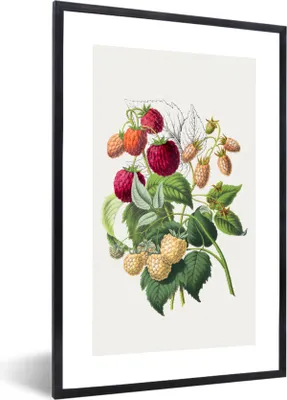 Produktbild von MuchoWow® Gerahmtes Poster Himbeeren - Obst - Lebensmittel 40x60 cm - Poster mit Schwarzem Bilderrahmen Wandposter Rahmen Foto Bilder - Papierdruck - Wandbilder