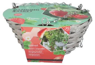 Produktbild von Anzuchtset Hängende Körbe Erdbeeren | Anzuchtsets von Buzzy Gifts