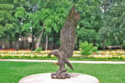 Immagine prodotto di Statua decorativa bronzata - Aquila Wings of Glory - Statua in bronzo Statua decorativa per interni/esterni