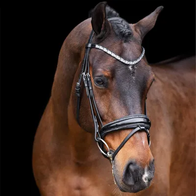 Image de Imperial Riding Trense IROlympia HW 2023 Zaumzeug Black Silver