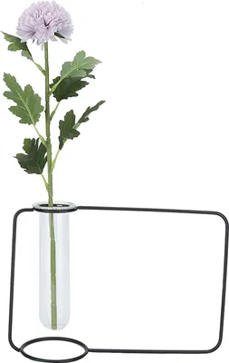 Imagen del producto de Macetas colgantes innovadoras con tubos de ensayo transparentes para hidroponía, ideales para plantas de interior en el hogar (color )