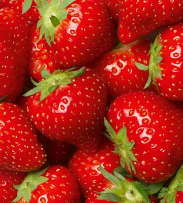 Produktbild von Fototapete - Strawberry 225x250cm - Vliestapete