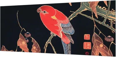 Zdjęcie produktu dla Tapeta ścienna – tapeta dekoracyjna do salonu – folia tapetowa do dekoracji ścian – 208 x 146 cm – Egzotyczny ptak