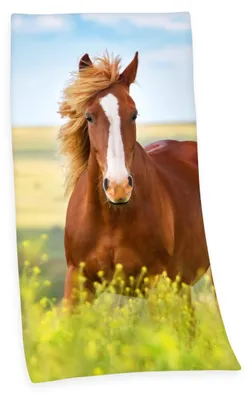 Productafbeelding van Paardendeken van velours / 75x150 cm