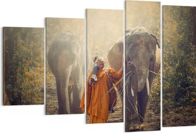 Produktbild von Bild auf Leinwand - Leinwandbild - Elefant Mönch Dschungel - 150x100cm - Wand Bild - Wanddeko - Leinwanddruck - Bilder - Kunstdruck - Wanddekoration - Leinwand bilder - Wandkunst - EG150x100-3453