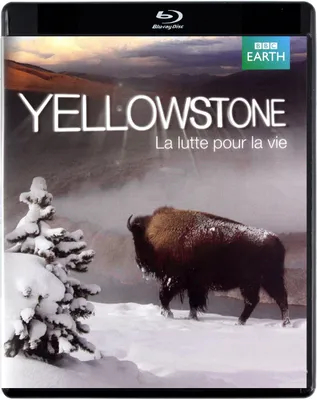 Produktbild von Yellowstone (nur Originalversion) [BLU-RAY]