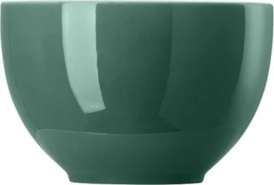 Immagine prodotto di Thomas Sunny Day Müslischale, Porzellan, Herbal Green, 12 cm, 10850-408546-15456