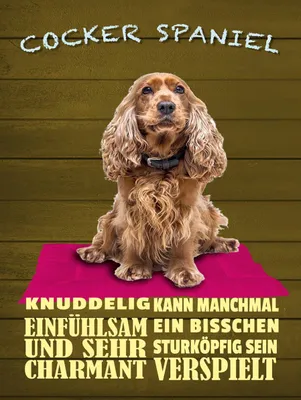 Produktbild von vianmo Holzschild 40x30 cm Cocker Spaniel Hund knuddelig