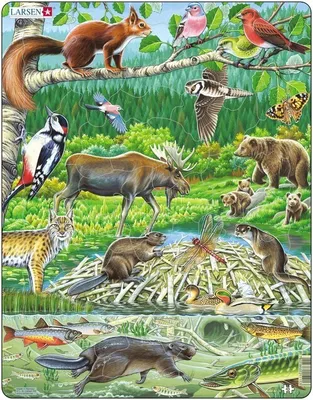 Zdjęcie produktu dla Larsen Maxi LA-FH15, 45 szt., Fauna, 4 lat(a)