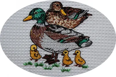 Produktbild von Triolino Waffelpiqué Geschirrtuch 50x70 Baumwolle | Saugstark & Fusselfrei, Grösse:50 cm x 70 cm, Farbe:blaue Streifen - Enten