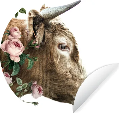 Produktbild von MuchoWow® Runde Wandtattoo - Wandsticker Tapete Aufkleber Schottischer Highlander - Schottische Kuh - Blumen Ø 30 cm Selbstklebend und Repositionierbar - Wandaufkleber - Kreis - Wandbild - Fototapete - Selbstklebend - Dekoration - Wandschmuck - Schlafzimmer