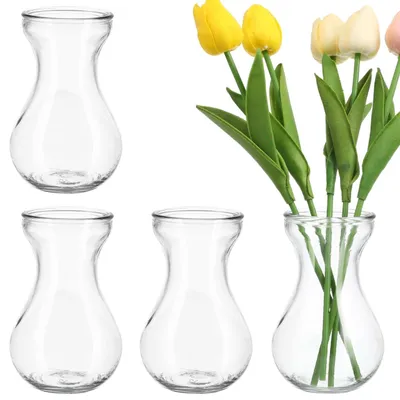 Image de Solidchoice - Ensemble de 4 vases en verre pour hydroponie et fleurs - Vases décoratifs transparents