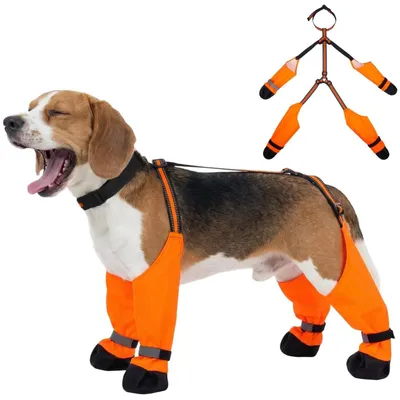 Produktbild von Reflektierende Hundeschuhe – Wasserdicht und rutschfest