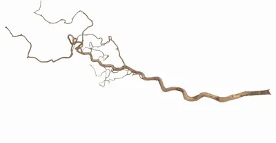 Produktbild von Korkenzieherzweige natur 3 Stück 100–120cm | Deko Äste Vase DIY Osterzweige