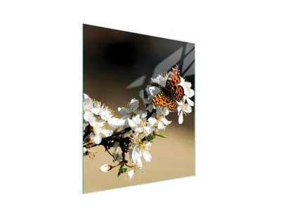 Produktbild von Glasschneidebrett 45x52 Pflaume