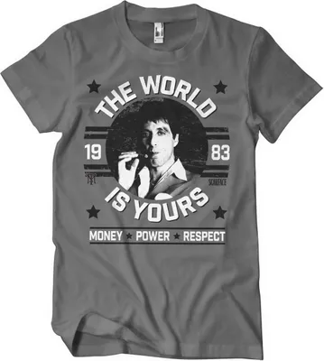 Produktbild von The World Is Yours T-Shirt - Large - DarkGrey