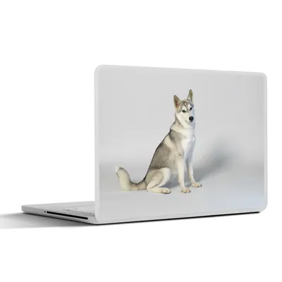 Produktbild von MuchoWow® Laptop Aufkleber Sticker Cover Husky vor weißem Hintergrund 36.5x27.5 cm - Laptop-Sticker