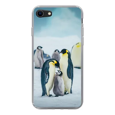 Produktbild von MuchoWow® Handyhülle Schutzhülle Hülle für iPhone 8 Kaiserpinguin-Küken wird gefüttert Silikon Softcase Handy Hülle - Schutzhaube