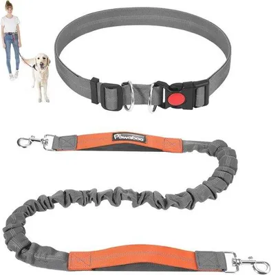 Productafbeelding van Famanu handsfree hondenriem met schokabsorptie en reflecterende strepen - zwart