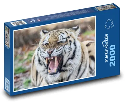 Obrázok produktu pre martinpuzzle - Puzzle 2000 - Rozzúrený tiger