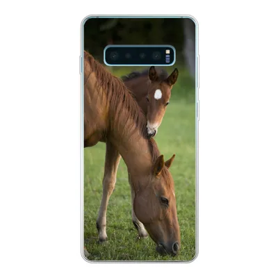 Produktbild von MuchoWow® Handyhülle Schutzhülle Hülle für Samsung Galaxy S10 Plus Pferde - Gras - Porträt Silikon Softcase Handy Hülle - Schutzhülle