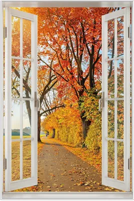 Produktbild von Wallario Wandbild mit Fenster-Illusion: Herbstlicher Waldweg mit buntem Laub, Größe: 61 x 91,5 cm, Poster mit weißem Aluminiumrahmen