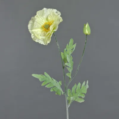 Produktbild von artplants.de Künstliche Mohnblume, Creme, 70cm - Kunstblume