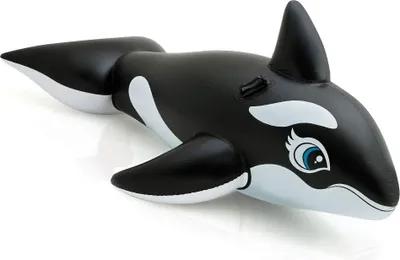 Produktbild von Intex 58561, Schwarz, Weiß, Aufsitz-Schwimmer, Vinyl, 3 Jahr(e), 40 kg, China