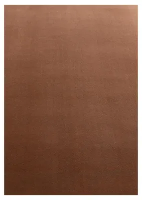 Immagine prodotto di Carpetsale24 Tappeto Lavabile a Pelo Corto Antiscivolo Monocolore Morbido e Confortevole in Stile Moderno, Dimensioni: 140x200 cm