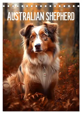 Produktbild von Australian Shepherd (Tischkalender 2027 DIN A5 hoch), CALVENDO Monatskalender